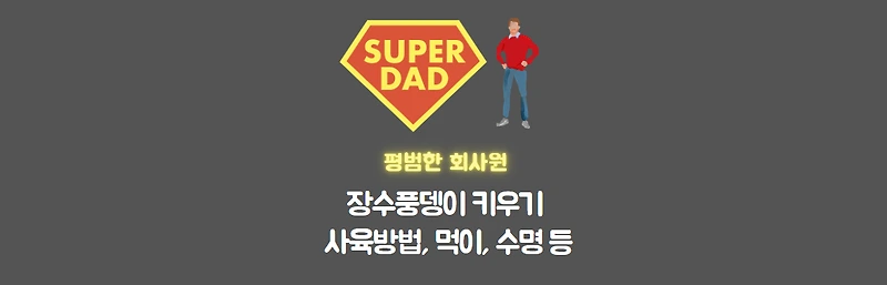 장수풍뎅이 썸네일이미지